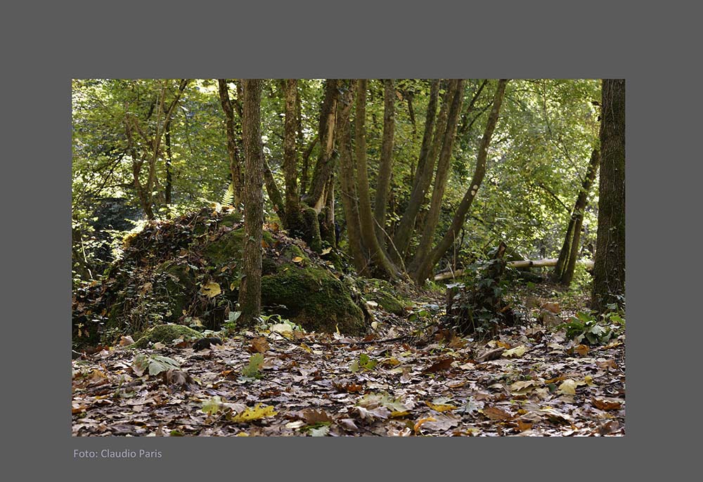 Foto in Mostra