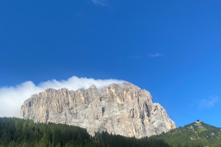 selva