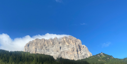 selva