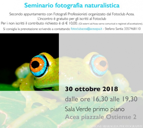 Seminario 